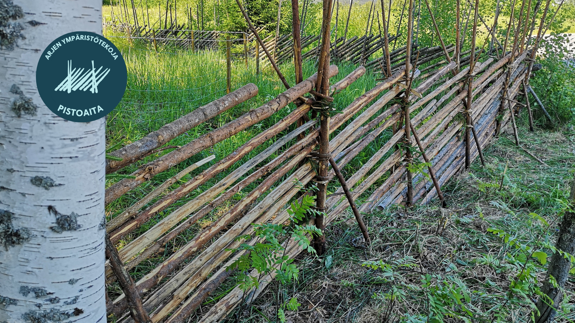 Kuvituskuva